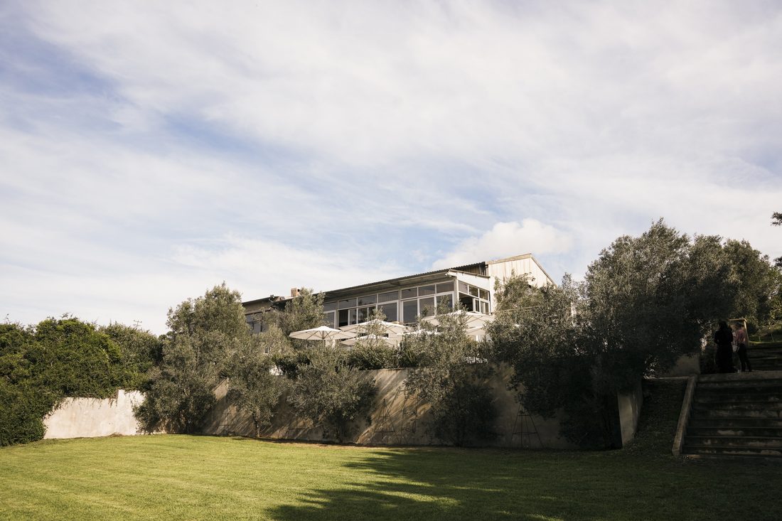The estate seen from the lawn, umbrellas on the terrace among the olive trees