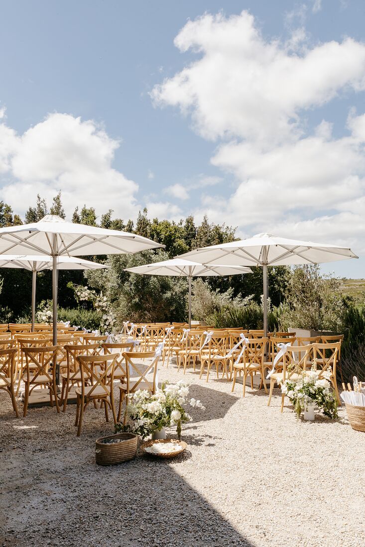 Garden umbrellas on the lawn